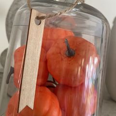ShabbyChic Glass Dome with Pumpkins