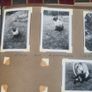 Vintage Photograph Albums Image 8