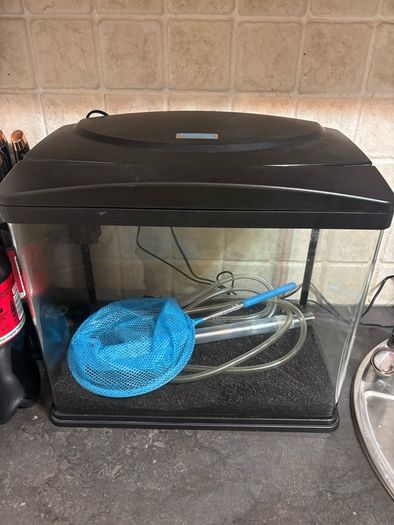40l aquarium