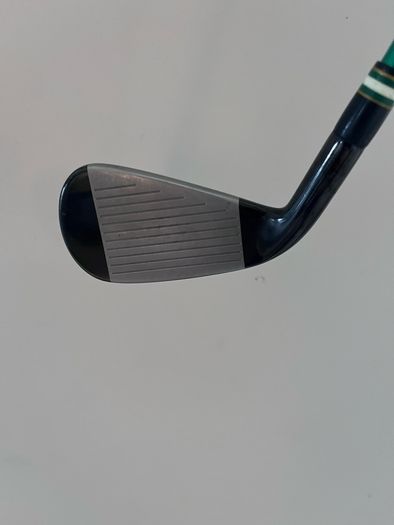 Mizuno Pro Fli-Hi 2 iron
