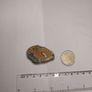 Maligano jasper Image 3