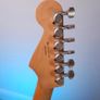 Fender Stratocaster Player Series, Fiesta Red Image 2