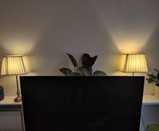 Set of 2 table lamps