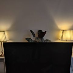 Set of 2 table lamps