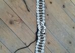 Lovely belt