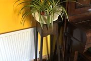 Crazy Ceramic flower pot