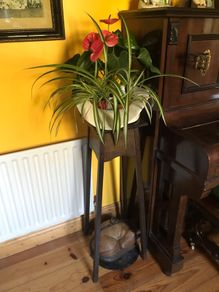 Crazy Ceramic flower pot