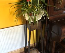 Crazy Ceramic flower pot