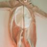 christmas reindeer suit onesie babygro Image 2