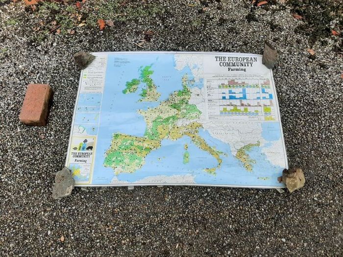 Vintage European Maps For Sale in Adamstown, Dublin from Gavasaurus Rex
