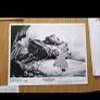1986 An American Tail Press Kit Image 5