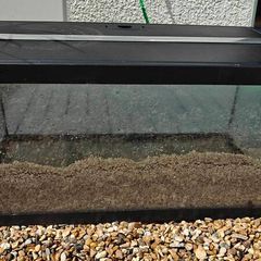 54L Glass Aquarium / Fish Tank with Black Lid & Sand