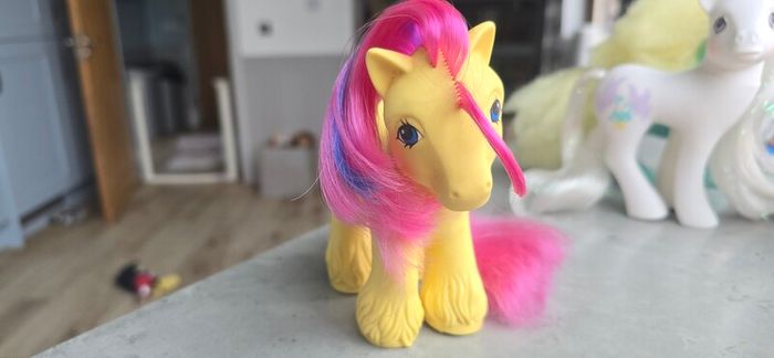 Tex (2) TLC Big Brother Ponies Cowboy MLP G1 My Little Pony