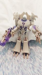 Transformer megatron