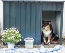 vidaXL Dog House with Roof 113x153x101 cm Galvanised Steel