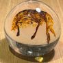 Art Glass Paperweight Image 3