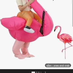 Flamingo adult costiume