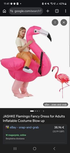 Flamingo adult costiume