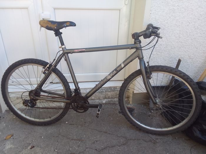 adult bike for sale