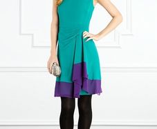Coast Zadie dress brand new