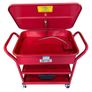 20 Gallon Parts Washer - RPW20g Image 4