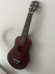 Beginner Ukalele