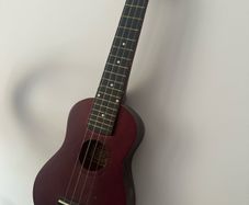 Beginner Ukalele