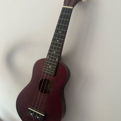 Beginner Ukalele