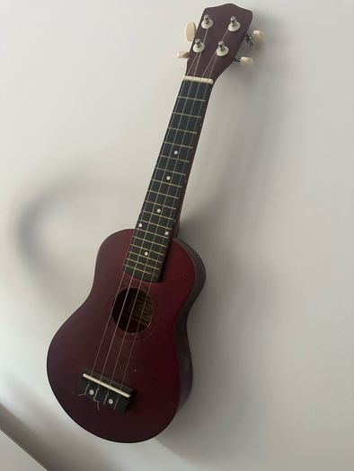 Beginner Ukalele