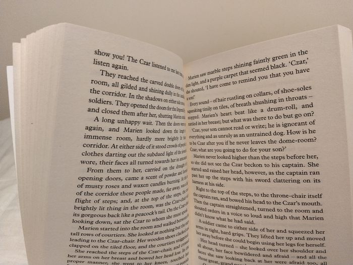 Ghost Drum book by Susan Price