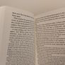 Ghost Drum book by Susan Price Image 5