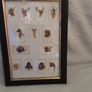3 x vintage cigarette card's,  pub's  boat's and animal heads Image 6