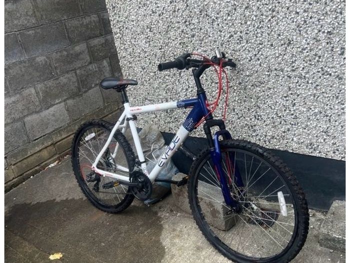 apollo evade mountain bike