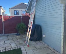 brand new ladder