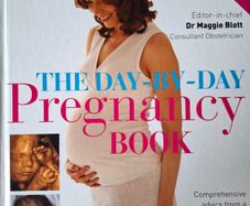 Pregnancy