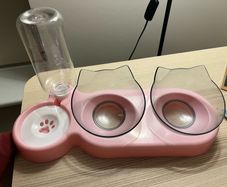 cat feeding bowl