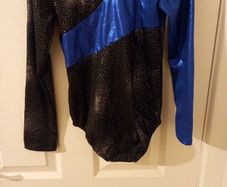 Gymnastics Long Sleeved Leotard