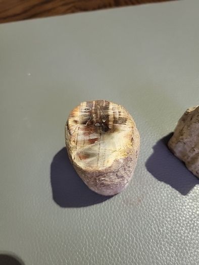 Petrified wood