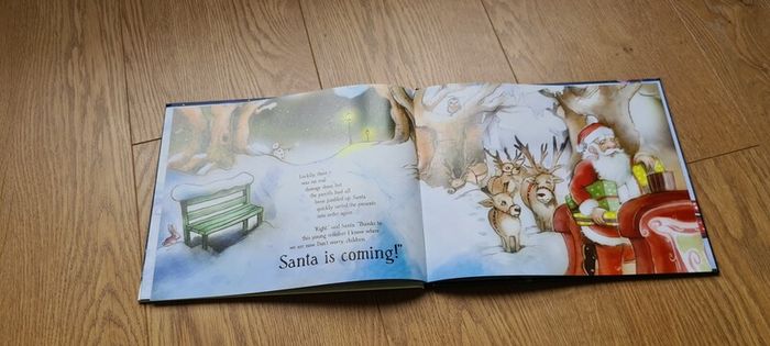 Santa is Coming to Ireland