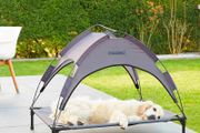 Dog sun lounger