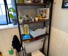 Bathroom shelf