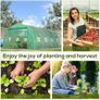 Greenhouse 6 x 3m 18sqm in perfect condition Image 7