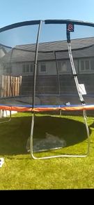 Trampoline 13ft