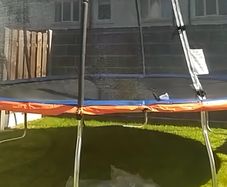 Trampoline 13ft