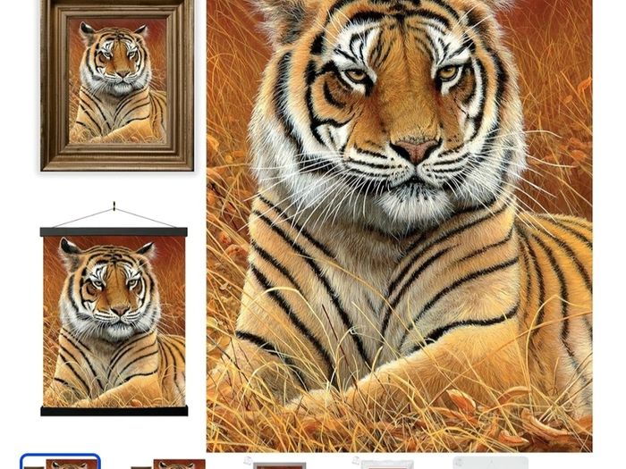 3D LiveLife Lenticular Wall Art Prints - Aloof From Deluxe Base - Unframed 3D Tiger - Size - 40cm x 30cm - RRP - 18.99