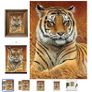 3D LiveLife Lenticular Wall Art Prints - Aloof From Deluxe Base - Unframed 3D Tiger - Size - 40cm x 30cm - RRP - 18.99 Image 2