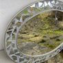 Oval Mirror Image 2