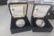 swan with eggs silver proof