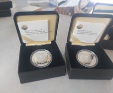 swan with eggs silver proof