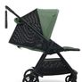 Travel buggy Image 2